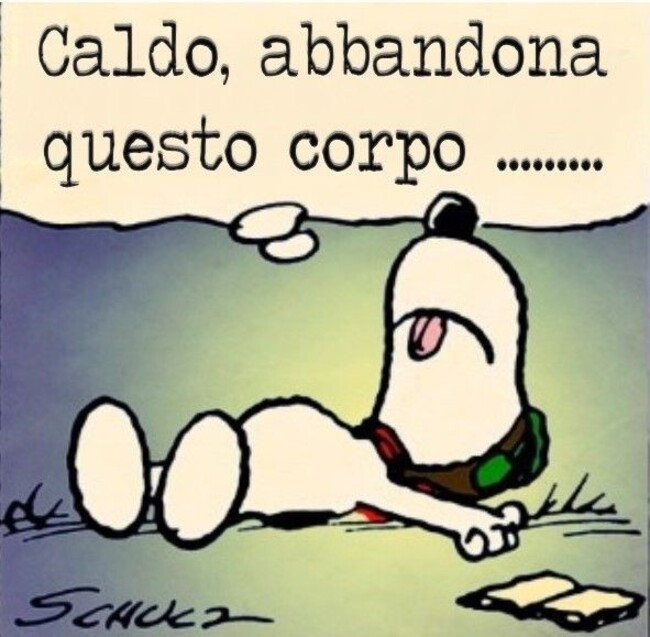 "Caldo, abbandona questo corpo..." -immagini divertenti Snoopy