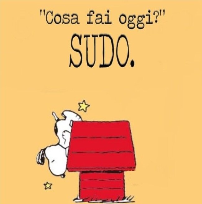 "Cosa fai oggi?" "SUDO."