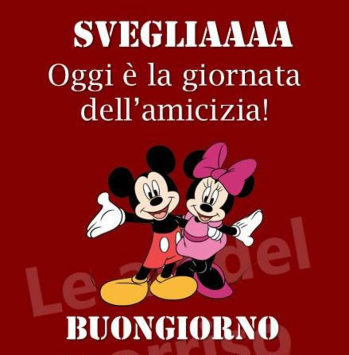 "SVEGLIAAAA Oggi è la Giornata dell'Amicizia ! Buongiornooo"