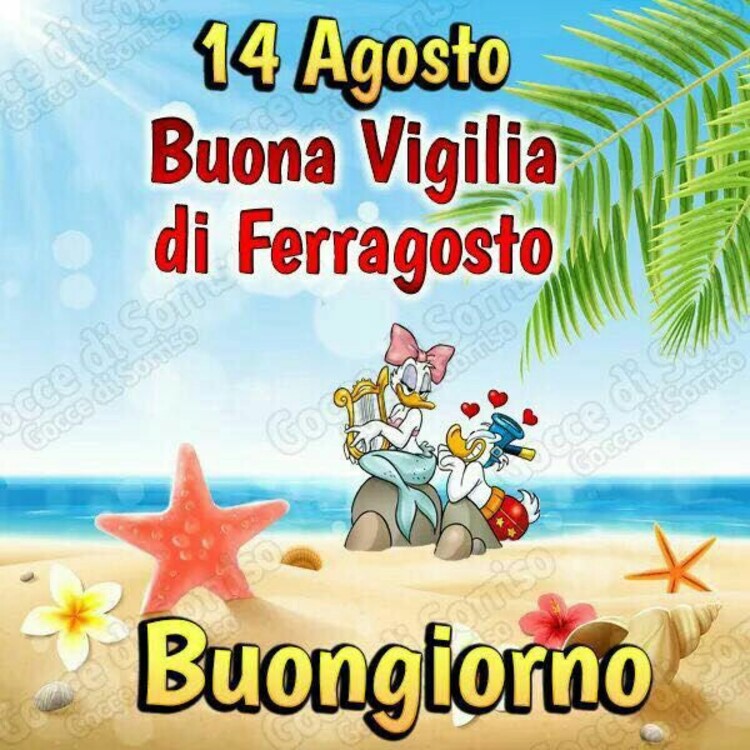 "14 Agosto Buona Vigilia di Ferragosto, Buongiorno"