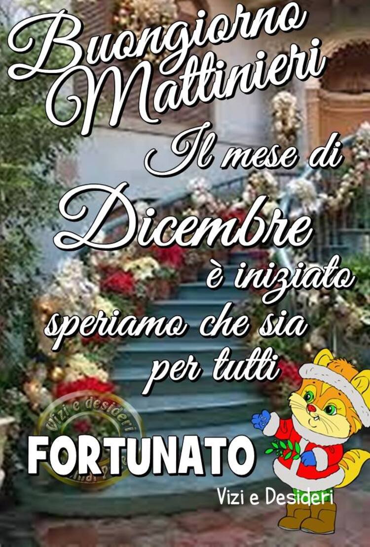 "Buongiorno Mattinieri, il mese di Dicembre è iniziato, speriamo che sia per tutti fortunato!"