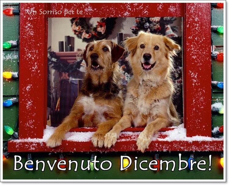 "Benvenuto Dicembre!"