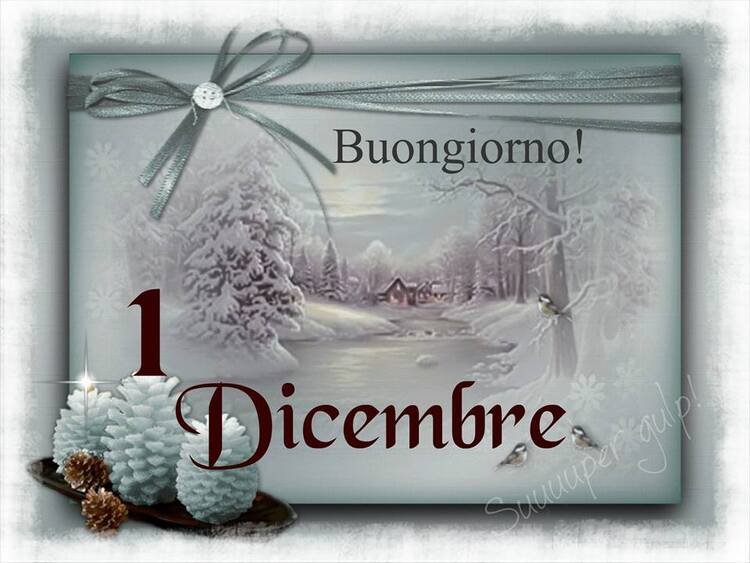 "Buongiorno! 1° Dicembre"