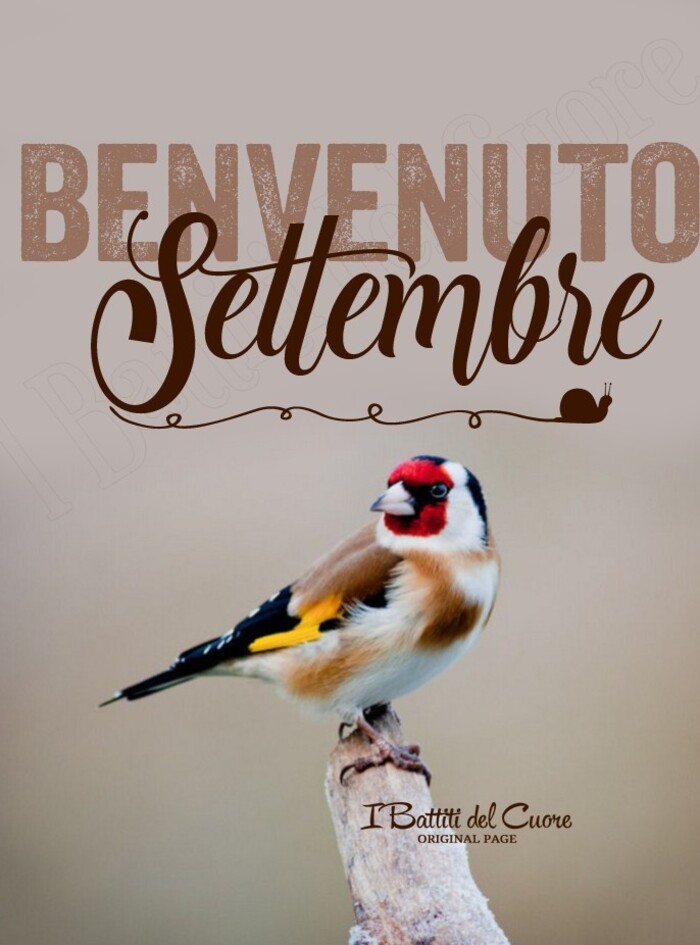 Buon 1° Settembre