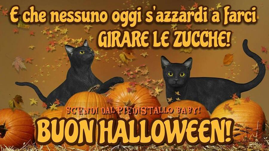 "E che nessuno oggi si azzardi a farci girare le zucche! Buon Halloween"