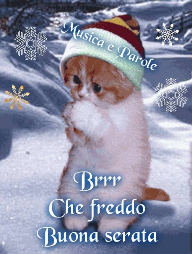 Buona Serata fredda