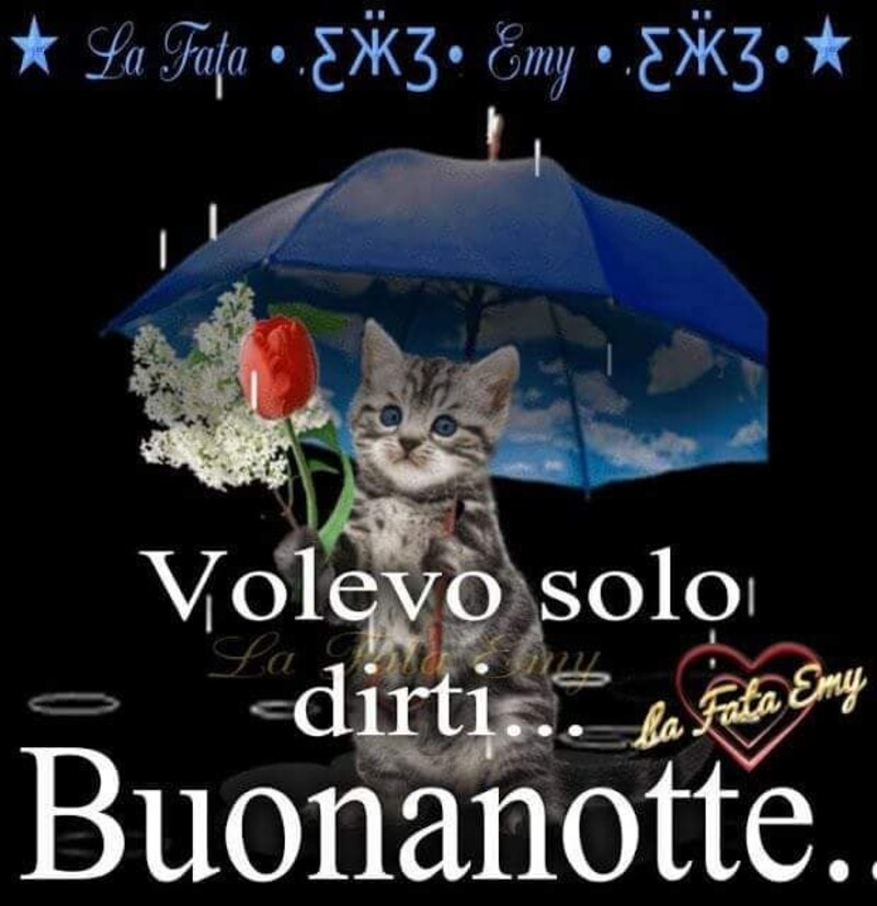 "Volevo solo dirti... Buonanotte"