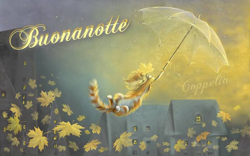 Fuori piove... Buonanotte