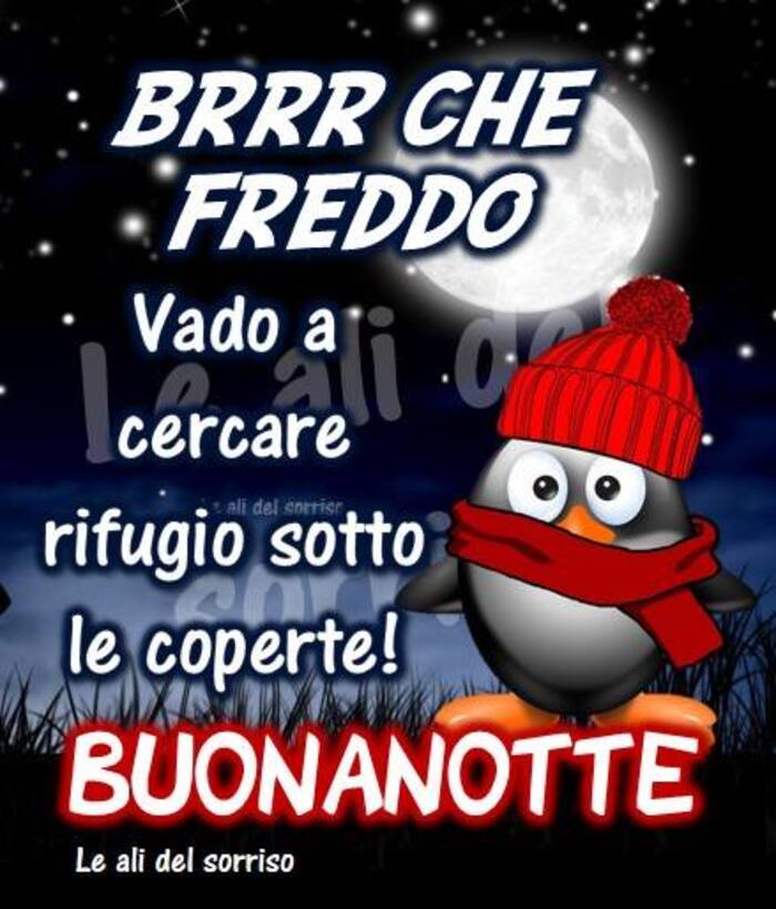 "BRRR CHE FREDDO!! Vado a cercare rifugio sotto le coperte! BUONANOTTE"