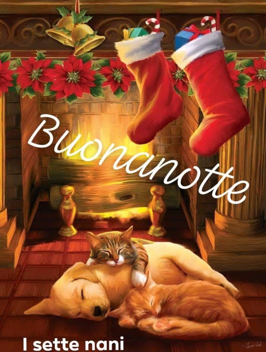 Buona Notte a Domani con gli addobbi natalizi