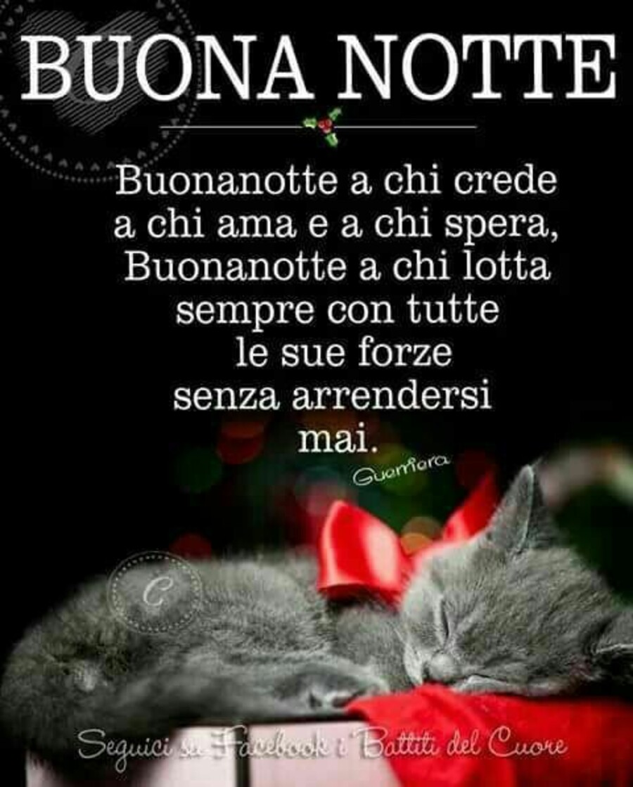 "Buonanotte a chi crede, a chi ama e a chi Spera..... a chi lotta sempre con tutte le sue forze senza arrendersi mai..."