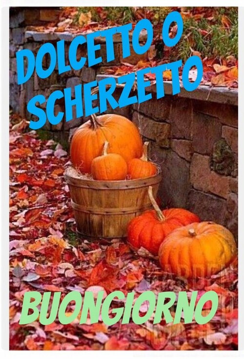 "Dolcetto o Scherzetto? Buongiorno"