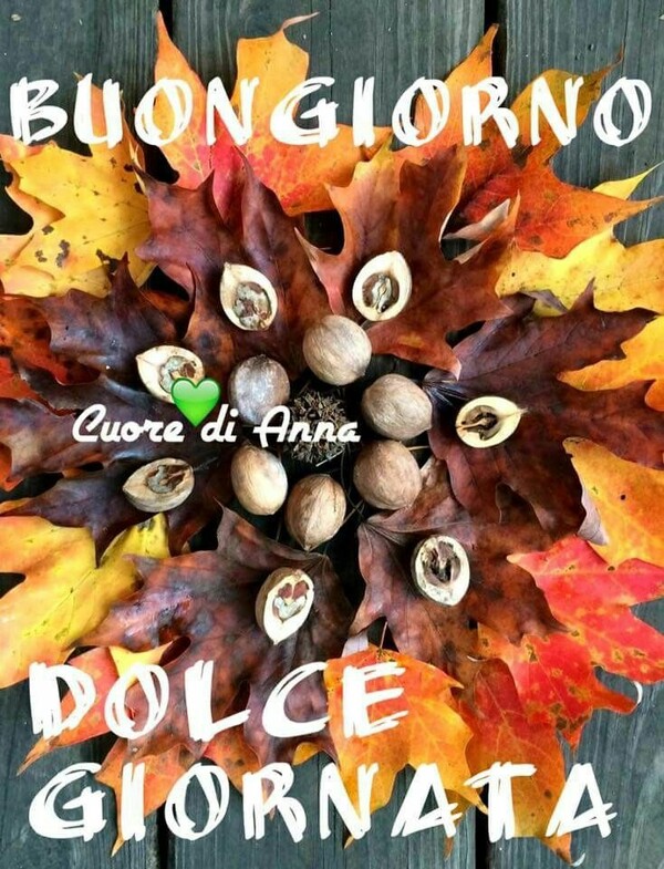 "Buongiorno, Dolce Giornata"