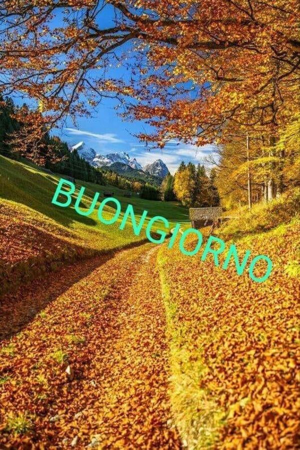 Buongiorno