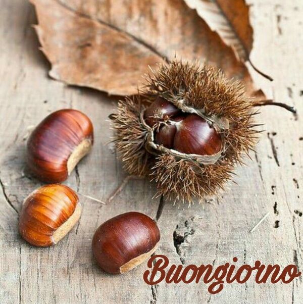 Buongiorno con le castagne