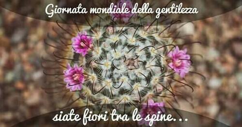 "Giornata Mondiale della Gentilezza... Siate fiori tra le spine..."