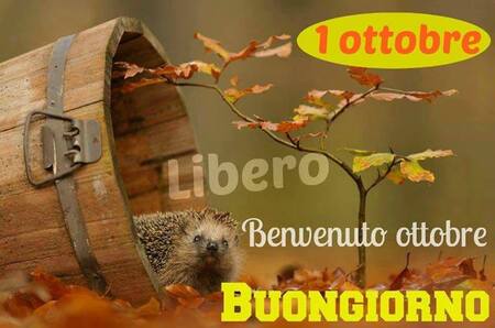 "1° Ottobre, Benvenuto Ottobre Buongiorno"