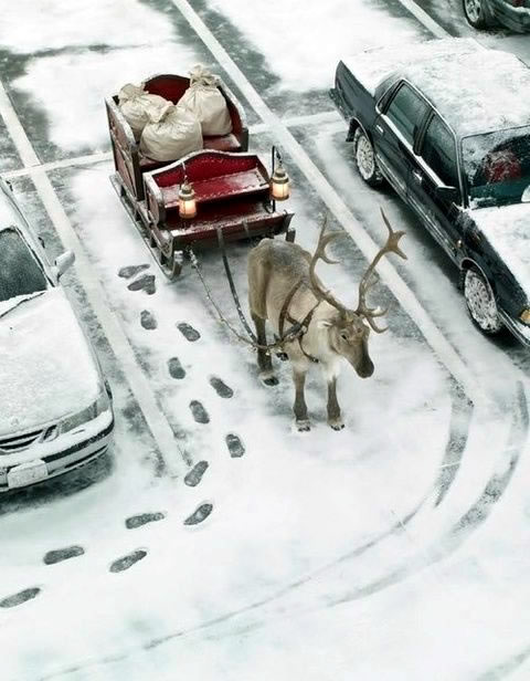 Immagini divertenti di Natale - "Il parcheggio della slitta"