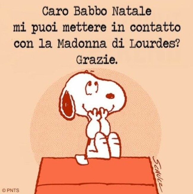 "Caro Babbo Natale, mi puoi mettere in contatto con la Madonna di Lourdes? Grazie." - vignette Snoopy