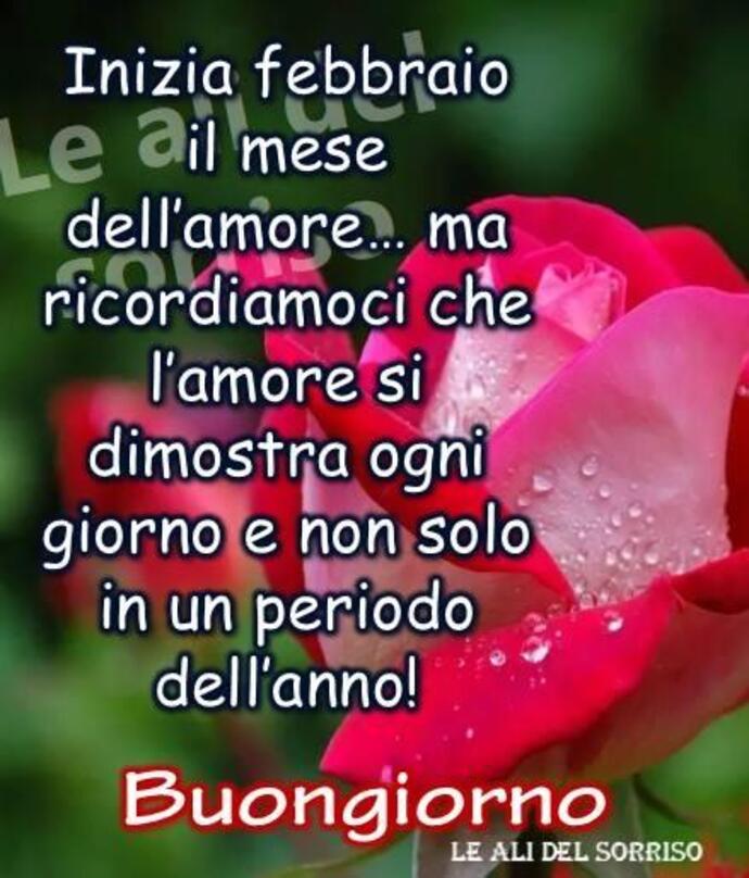 "Inizia Febbraio il mese dell'Amore... ma ricordiamoci che l'Amore si dimostra ogni giorno e non solo in un periodo dell'anno! Buongiorno"