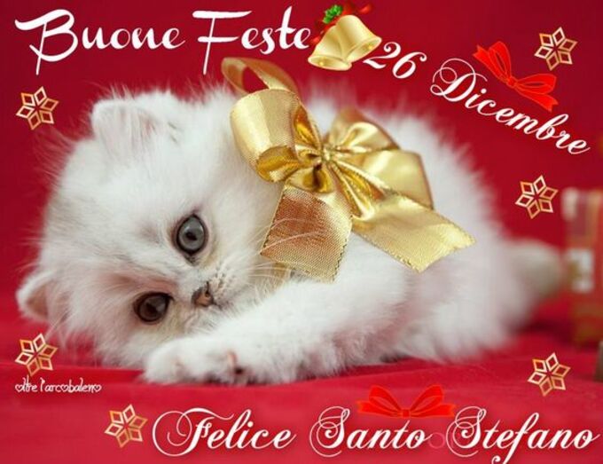 "Buone Feste e Felice Santo Stefano....."