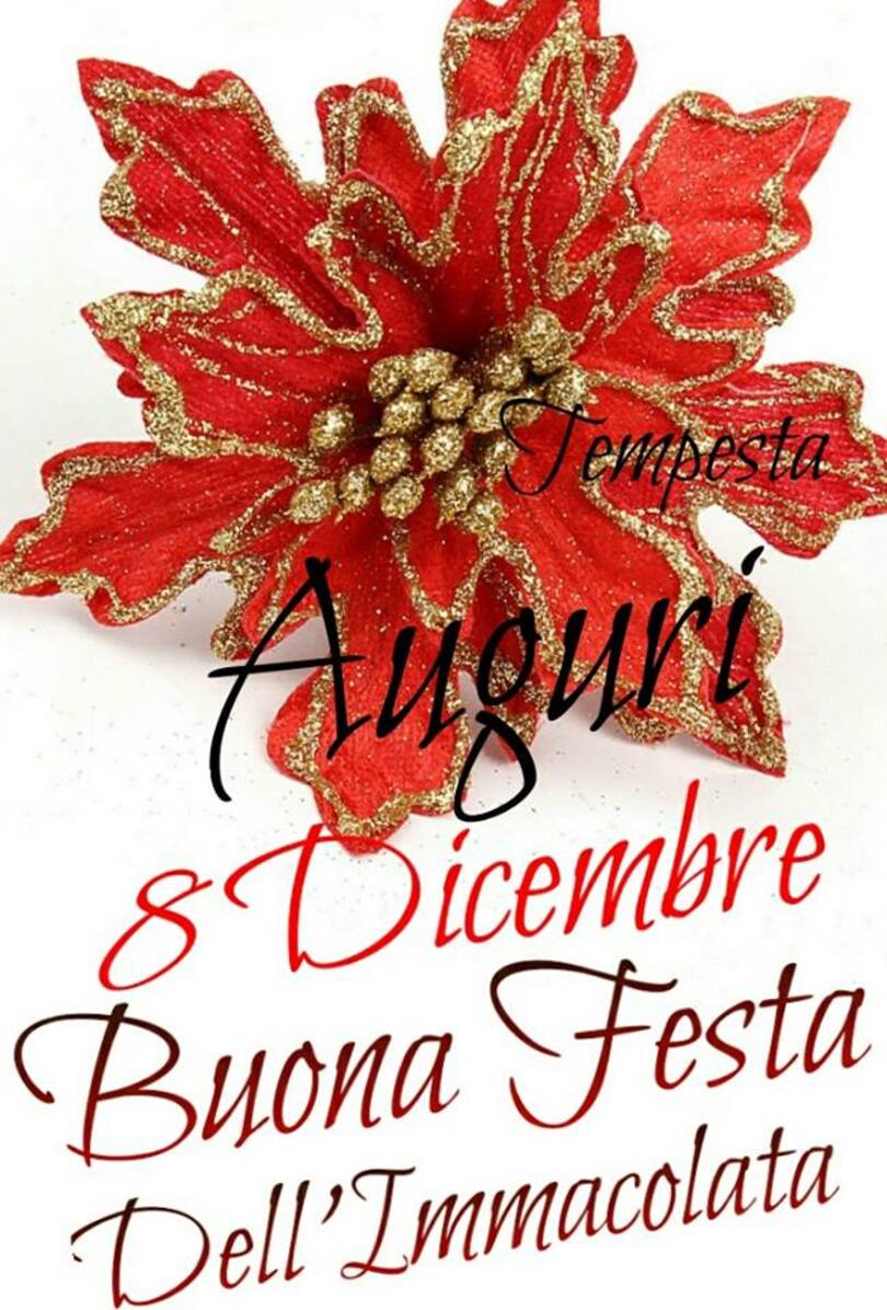 "Auguri, 8 Dicembre, Buona Festa dell'Immacolata"