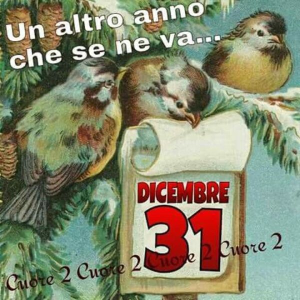 "Un altro anno che se ne va... 31 Dicembre"