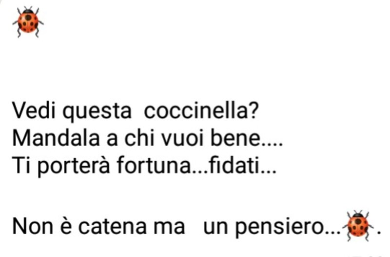 "Vedi questa coccinella? Mandala a chi vuoi bene... Ti porterà fortuna... Fidati... Non è catena ma... un pensiero..."