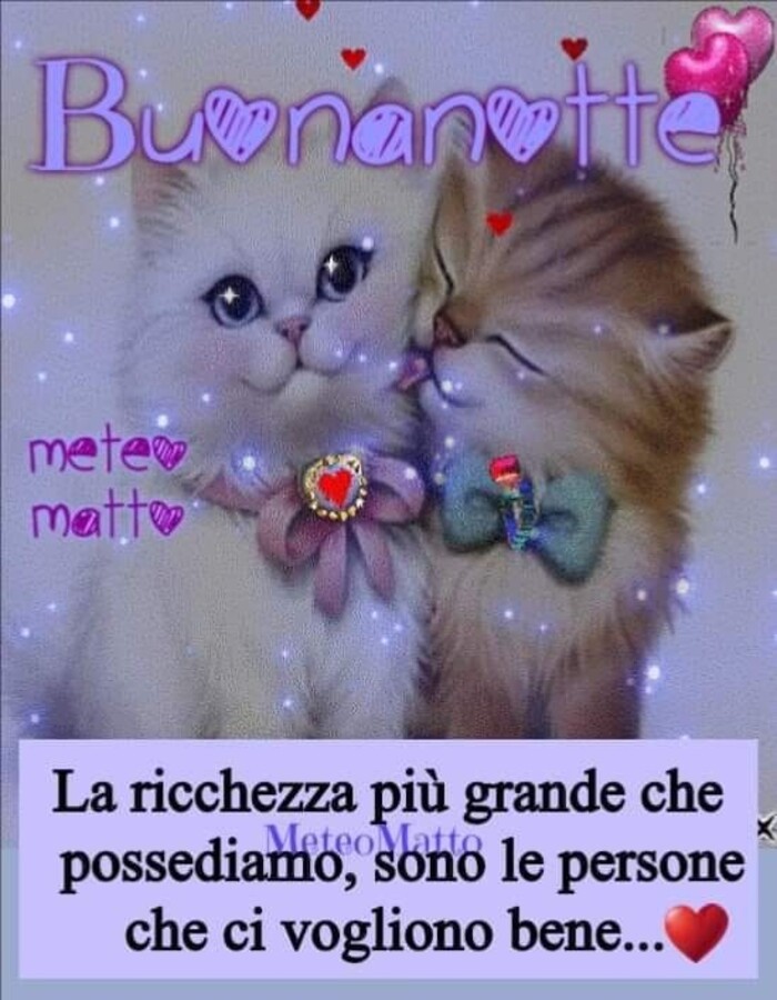 Buonanotte con i cuccioli - "La ricchezza più grande che possediamo, sono le persone che ci vogliono bene..."