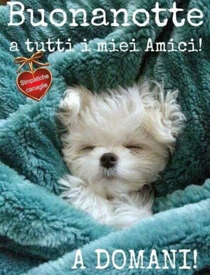 "A Domani! Buonanotte a tutti i miei amici!"