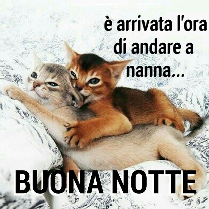 "E' arrivata l'ora di andare a nanna... BUONA NOTTE"