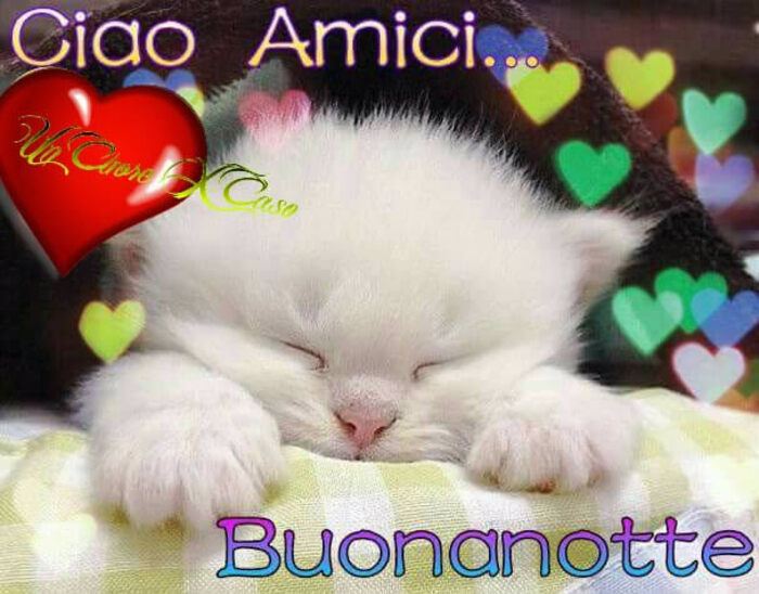 "Ciao amici... Buonanotte"