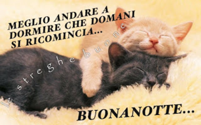 "Meglio andare a dormire che domani si ricomincia....." - Buonanotte con i cuccioli