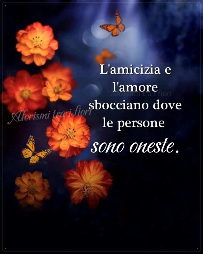 L'amicizia e l'amore sbocciano dove le persone sono oneste.