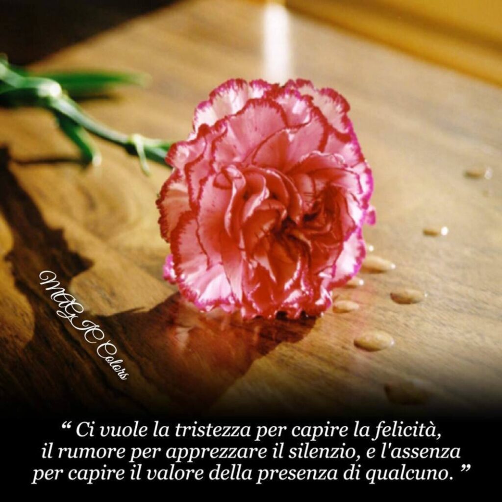 "Ci vuole la tristezza per capire la felicità, il rumore per apprezzare il silenzio, e l'assenza per capire il valore della presenza di qualcuno."